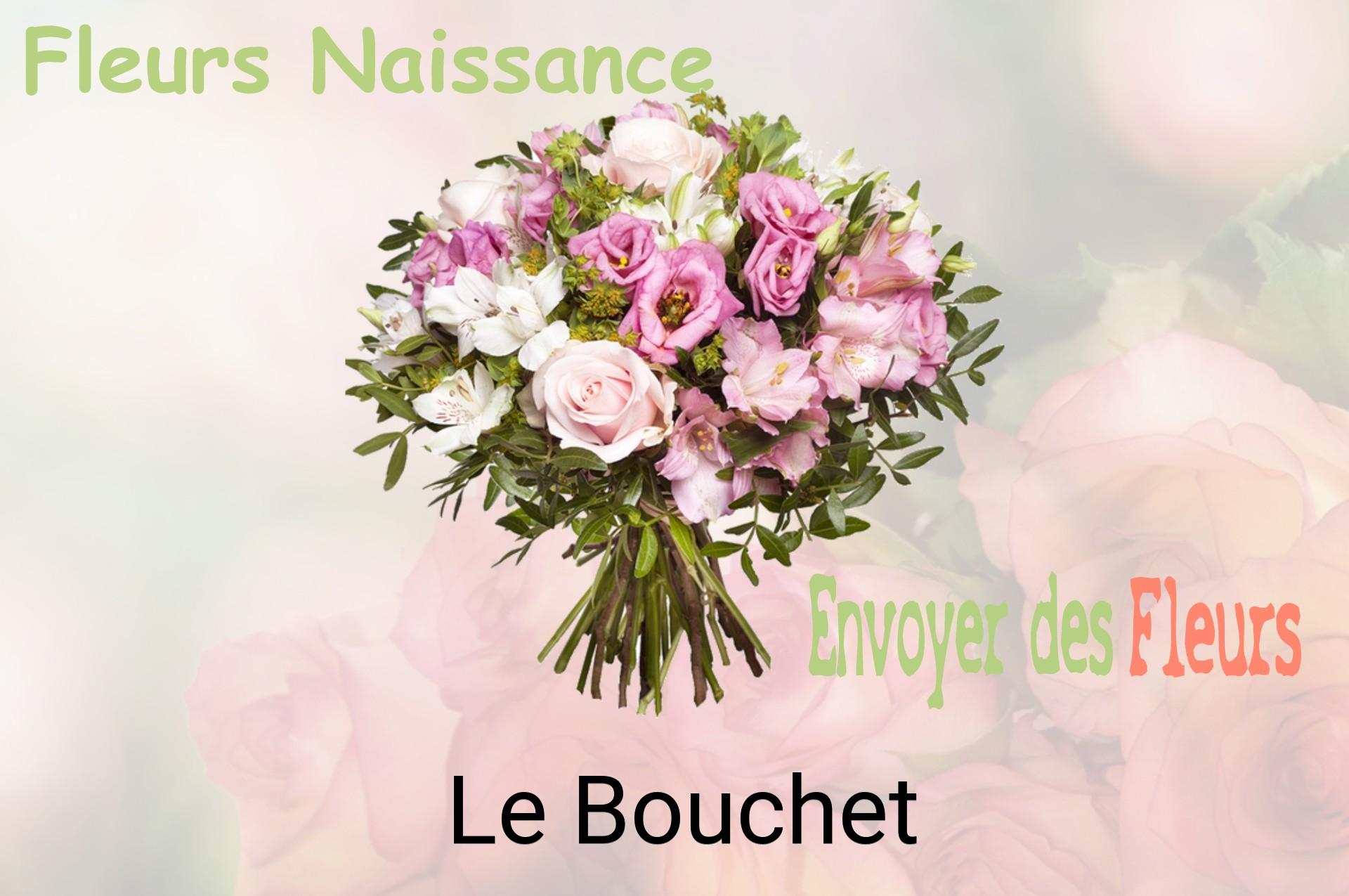 Bouquet de fleurs de naissance livré à Le Bouchet